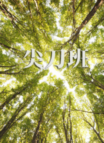 色视频色免费